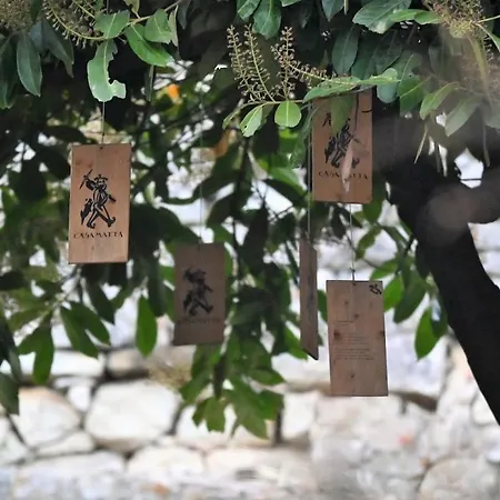 לינה וארוחת בוקר Agriturismo Casamatta Azienda Agricola *