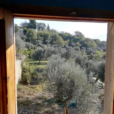 Oda ve Kahvaltı Casamatta Azienda Agricola *