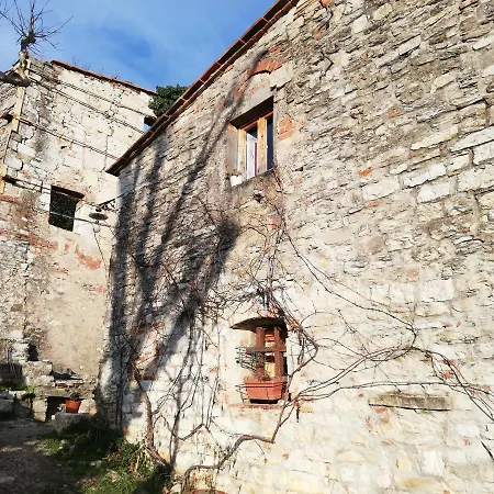 Oda ve Kahvaltı Casamatta Azienda Agricola *